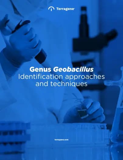 GENUS GEOBACILLUS: Identification approaches and techniques